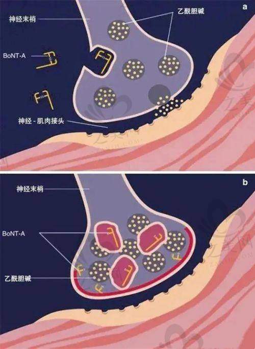 与其他医院对比