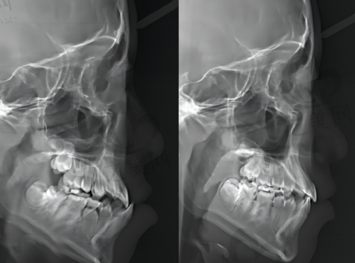 大连口碑好的牙科医院排名