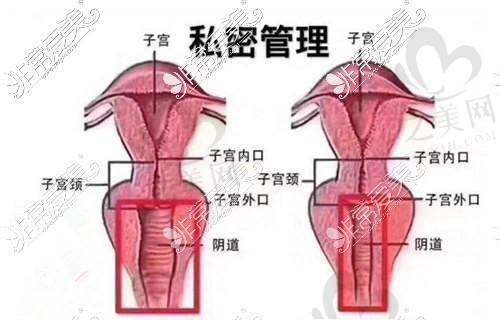 问诊服务内容详解