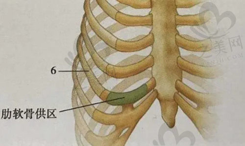 上海李健做肋软骨隆鼻技术好