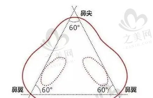 邓正军医生做鼻综合项目挺厉害