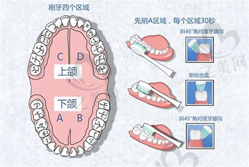 正确刷牙姿势