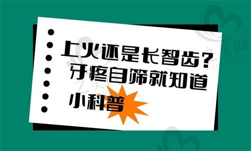 长智齿和上火怎么区分?