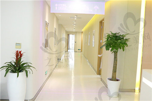 上海美莱医疗美容走廊