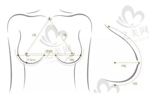 隆胸数据测量