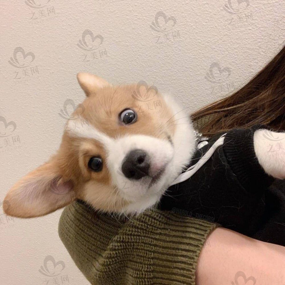 重庆乐菲口腔诊所