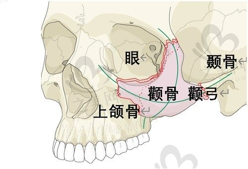 广州广大医院正颌手术怎么样?技术口碑双双在线价格还不贵