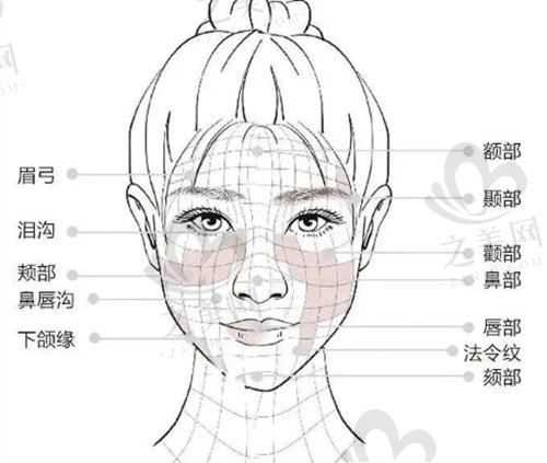 深圳大学总医院轮廓固定