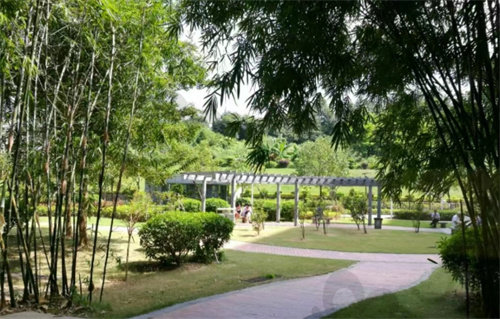 中山大学附属第三医院环内环境