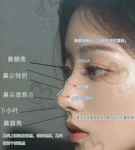 韩国鼻整形医院哪家好?排名前三名医/名院名单大揭晓