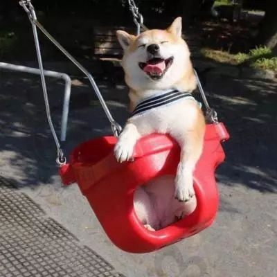 圆圆