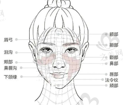 韩国JF皮肤科轮廓固定部位