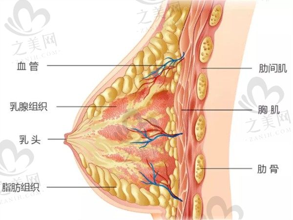 韩式郭广科隆胸怎么样?善用棉花糖技术打造自然无痕的饱满胸部