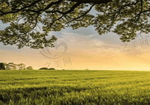 ┻┳|･ω･)问我？