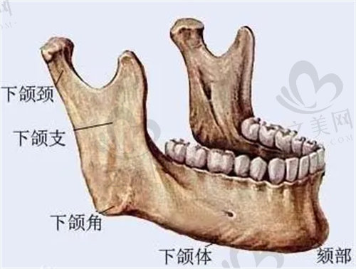 磨骨手术的风险有哪些