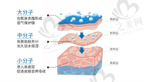 韩国Alive皮肤科玻尿酸分子