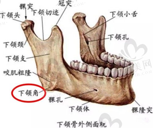 广州广大整形医院磨骨怎么样