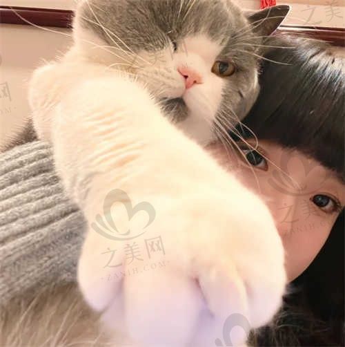 迪士尼勒布朗