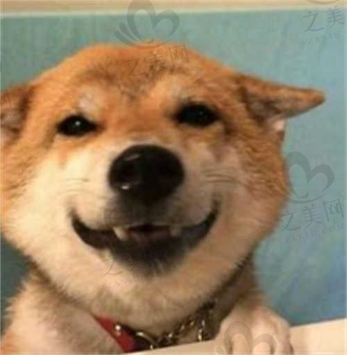 章鱼丸子