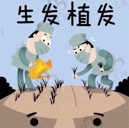 种植牙价格怎么样_之美网
