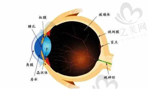 永州爱尔眼科医院简介