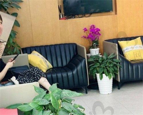 种植牙价格怎么样_之美网