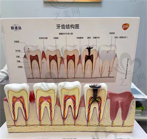 上海翊嘉口腔门诊部如何