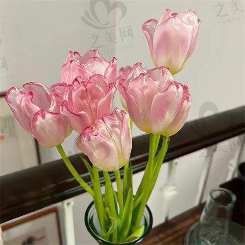 长安一夜尽落花