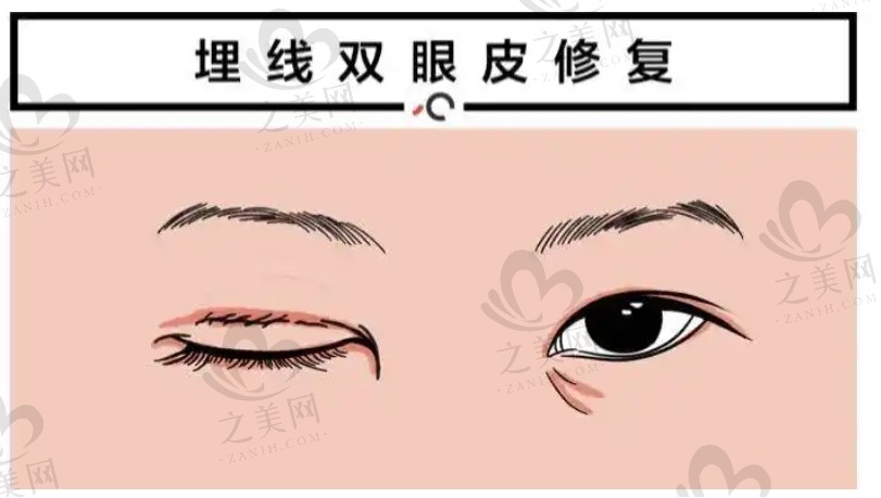 微信截圖_20250108101901.png