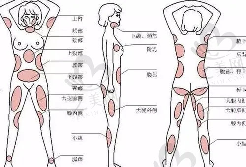 华夏医学科学院整形外科医院郭鑫医生