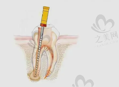 武汉瑞博口腔医院